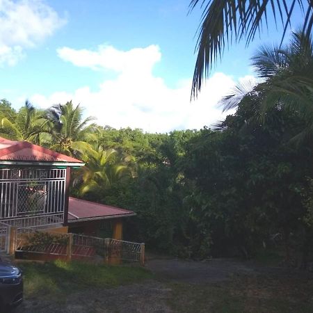 Appartement D'Une Chambre Avec Jardin Clos Et Wifi A Le Gosier A 3 Km De La Plage Exterior photo