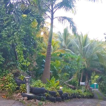 Appartement D'Une Chambre Avec Jardin Clos Et Wifi A Le Gosier A 3 Km De La Plage Exterior photo