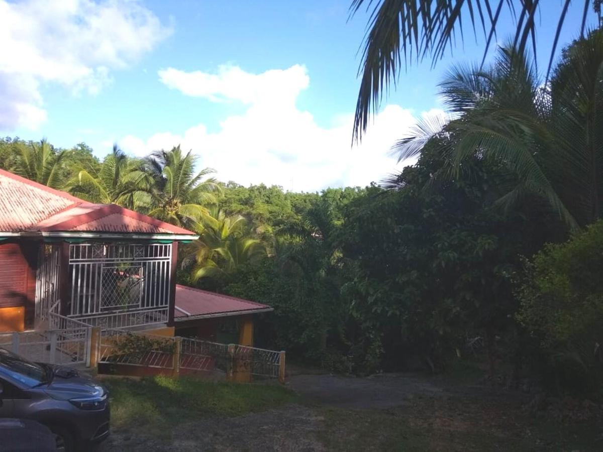 Appartement D'Une Chambre Avec Jardin Clos Et Wifi A Le Gosier A 3 Km De La Plage Exterior photo