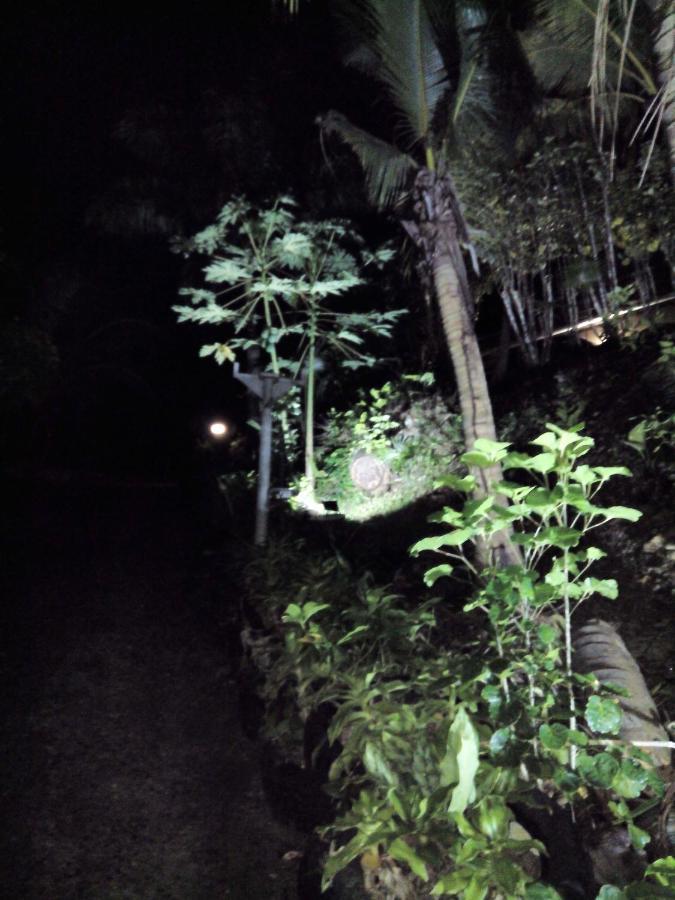 Appartement D'Une Chambre Avec Jardin Clos Et Wifi A Le Gosier A 3 Km De La Plage Exterior photo