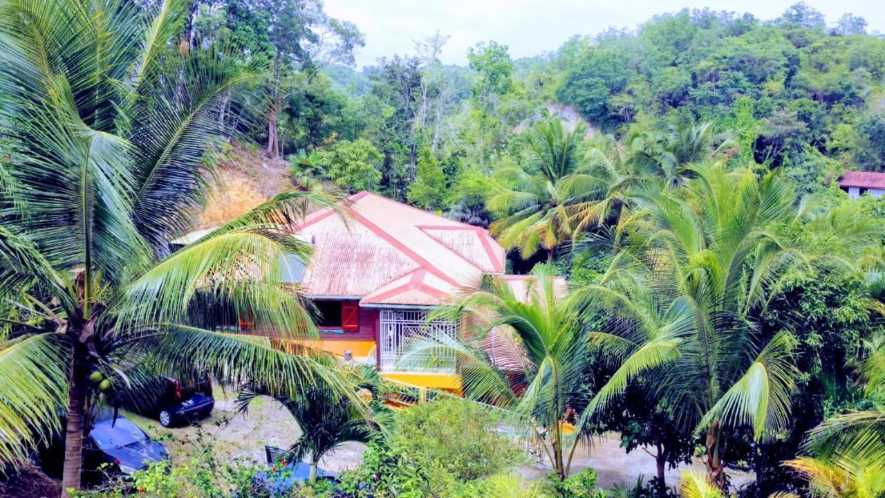 Appartement D'Une Chambre Avec Jardin Clos Et Wifi A Le Gosier A 3 Km De La Plage Exterior photo