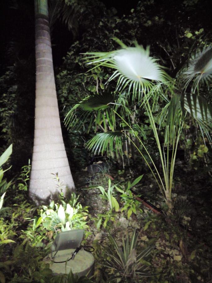 Appartement D'Une Chambre Avec Jardin Clos Et Wifi A Le Gosier A 3 Km De La Plage Exterior photo