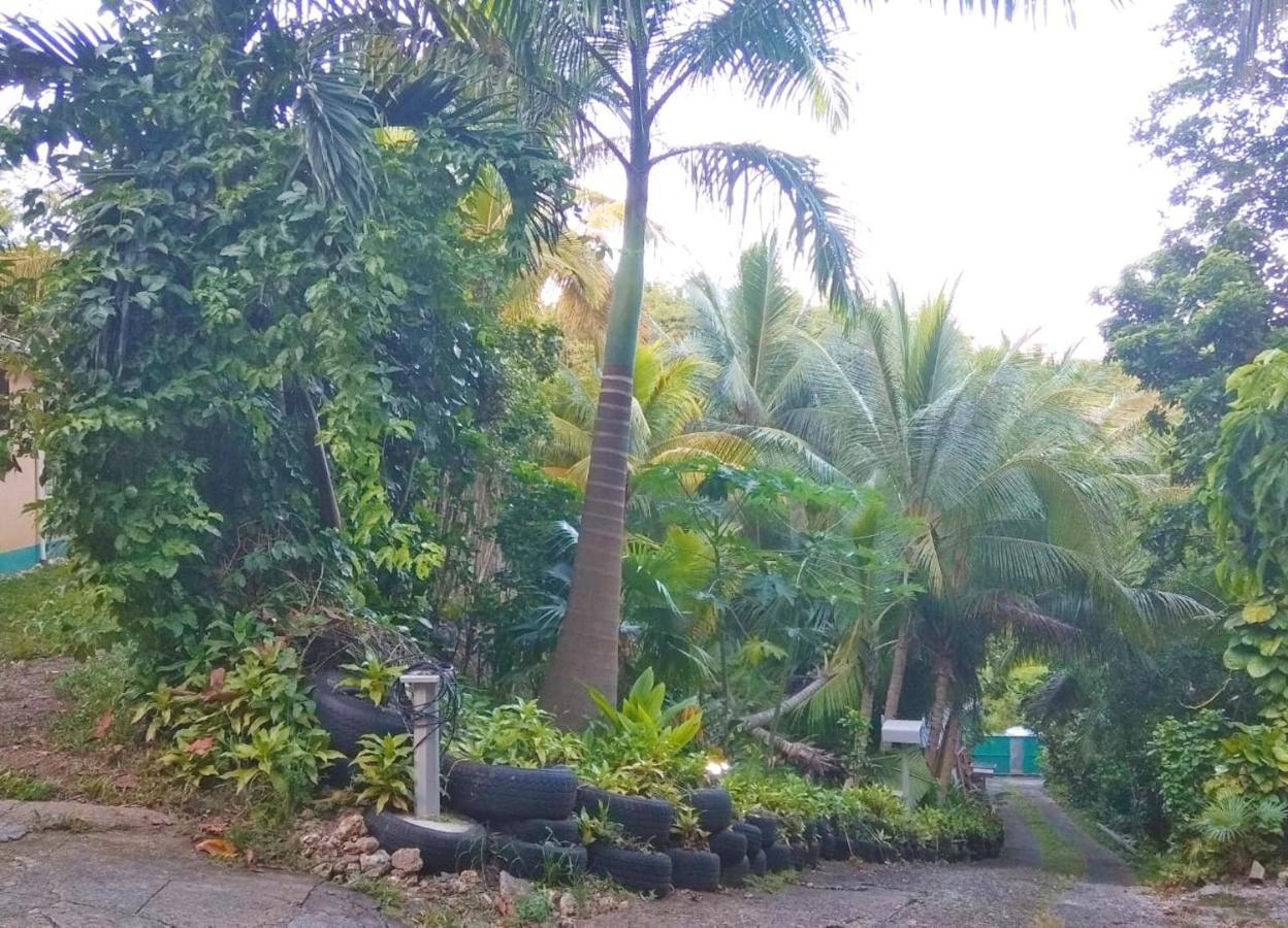 Appartement D'Une Chambre Avec Jardin Clos Et Wifi A Le Gosier A 3 Km De La Plage Exterior photo