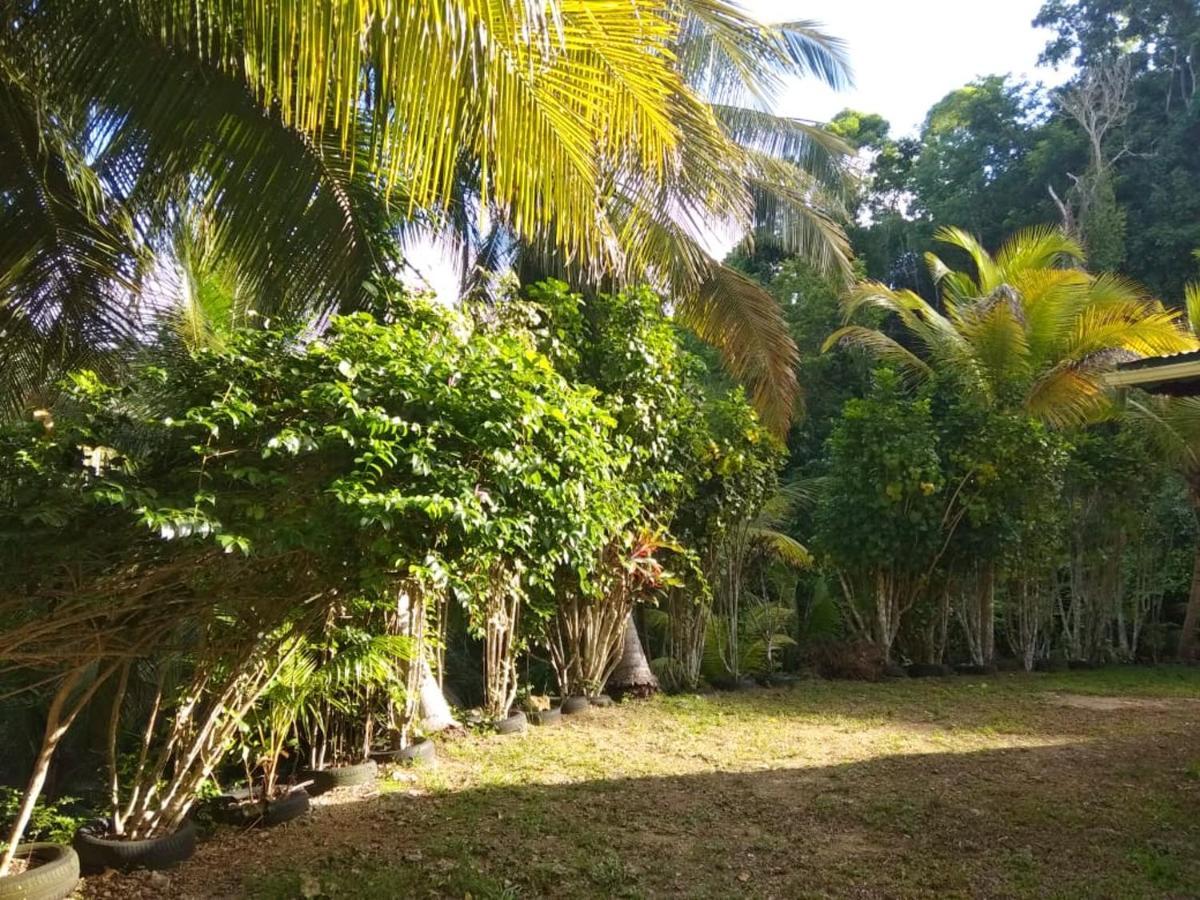 Appartement D'Une Chambre Avec Jardin Clos Et Wifi A Le Gosier A 3 Km De La Plage Exterior photo